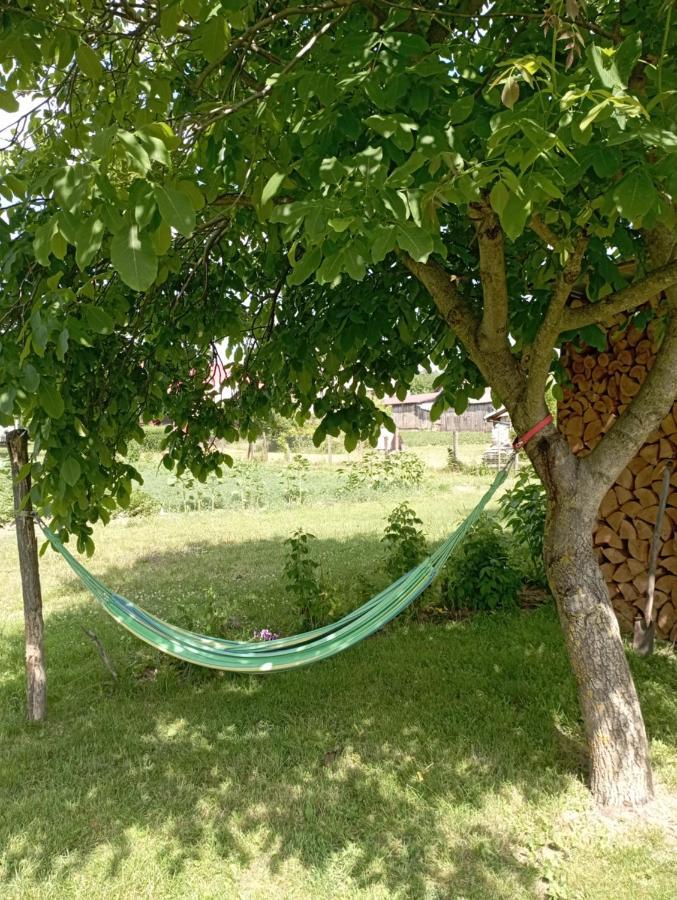 Soltysowka Villa Wolka Nadbuzna  Bagian luar foto